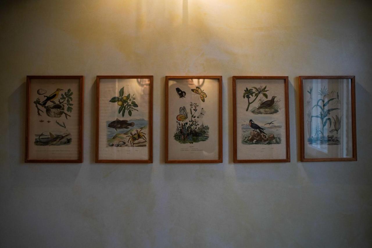 Parco Di Montebello Quattro Castella Dış mekan fotoğraf